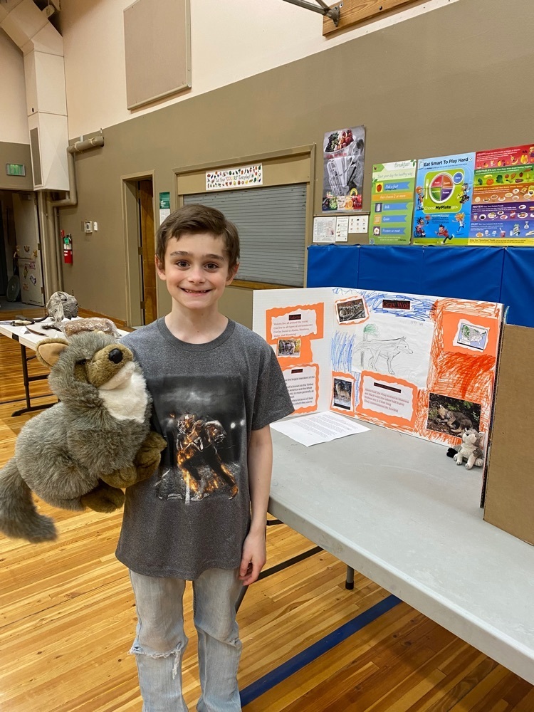 boy with wolf display and puppet